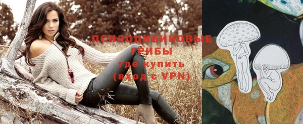 прущая мука Абаза