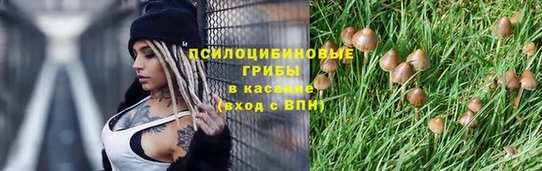 MESCALINE Магас