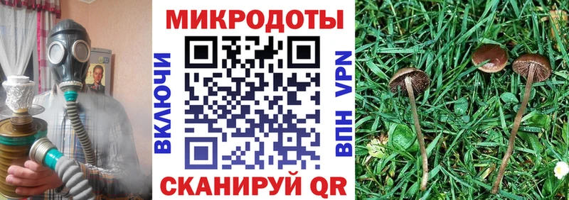 Псилоцибиновые грибы MAGIC MUSHROOMS  mega рабочий сайт  Новая Усмань  купить наркоту 